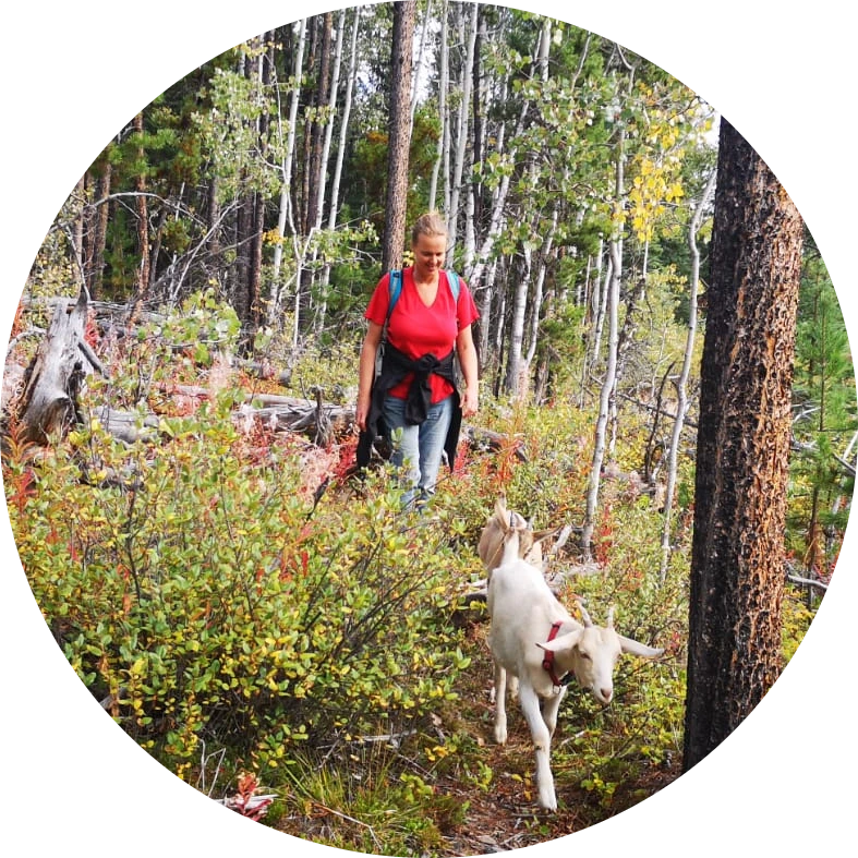 Woman walking with goats in the forest