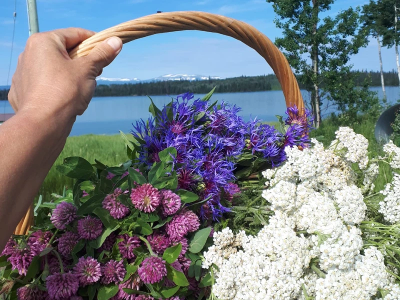 Find Your Inner Herbalist